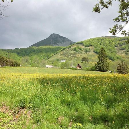 Вілла Chalet Avec Vue Panoramique Sur Le Plomb Du Cantal Saint-Jacques-des-Blats Екстер'єр фото