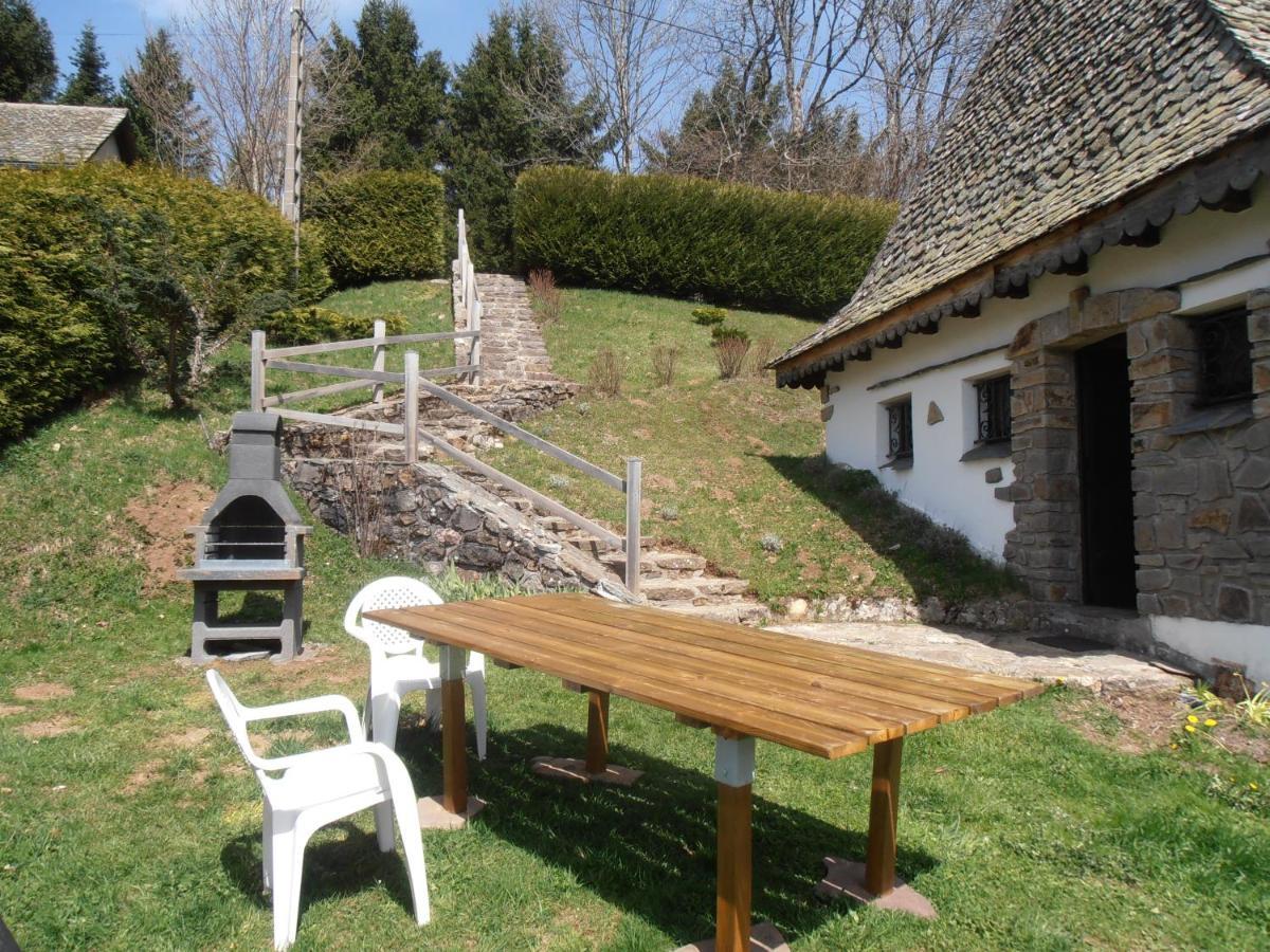 Вілла Chalet Avec Vue Panoramique Sur Le Plomb Du Cantal Saint-Jacques-des-Blats Екстер'єр фото