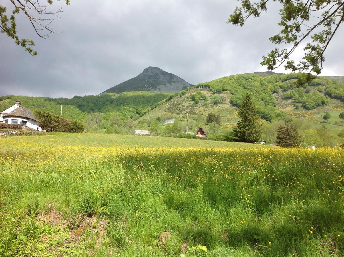 Вілла Chalet Avec Vue Panoramique Sur Le Plomb Du Cantal Saint-Jacques-des-Blats Екстер'єр фото