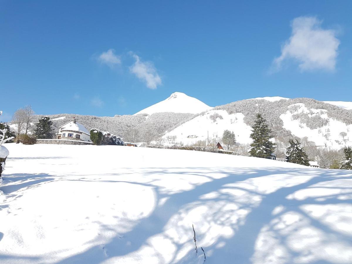 Вілла Chalet Avec Vue Panoramique Sur Le Plomb Du Cantal Saint-Jacques-des-Blats Екстер'єр фото