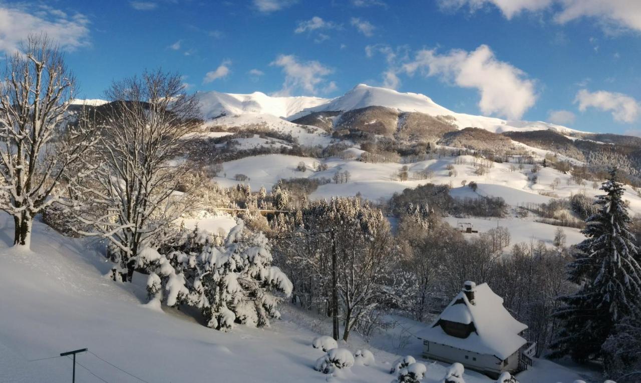 Вілла Chalet Avec Vue Panoramique Sur Le Plomb Du Cantal Saint-Jacques-des-Blats Екстер'єр фото