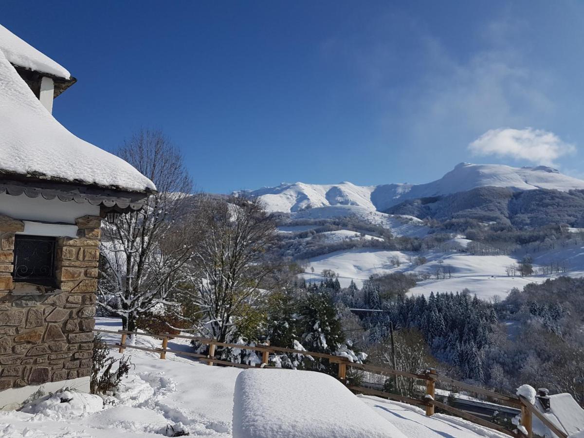 Вілла Chalet Avec Vue Panoramique Sur Le Plomb Du Cantal Saint-Jacques-des-Blats Екстер'єр фото