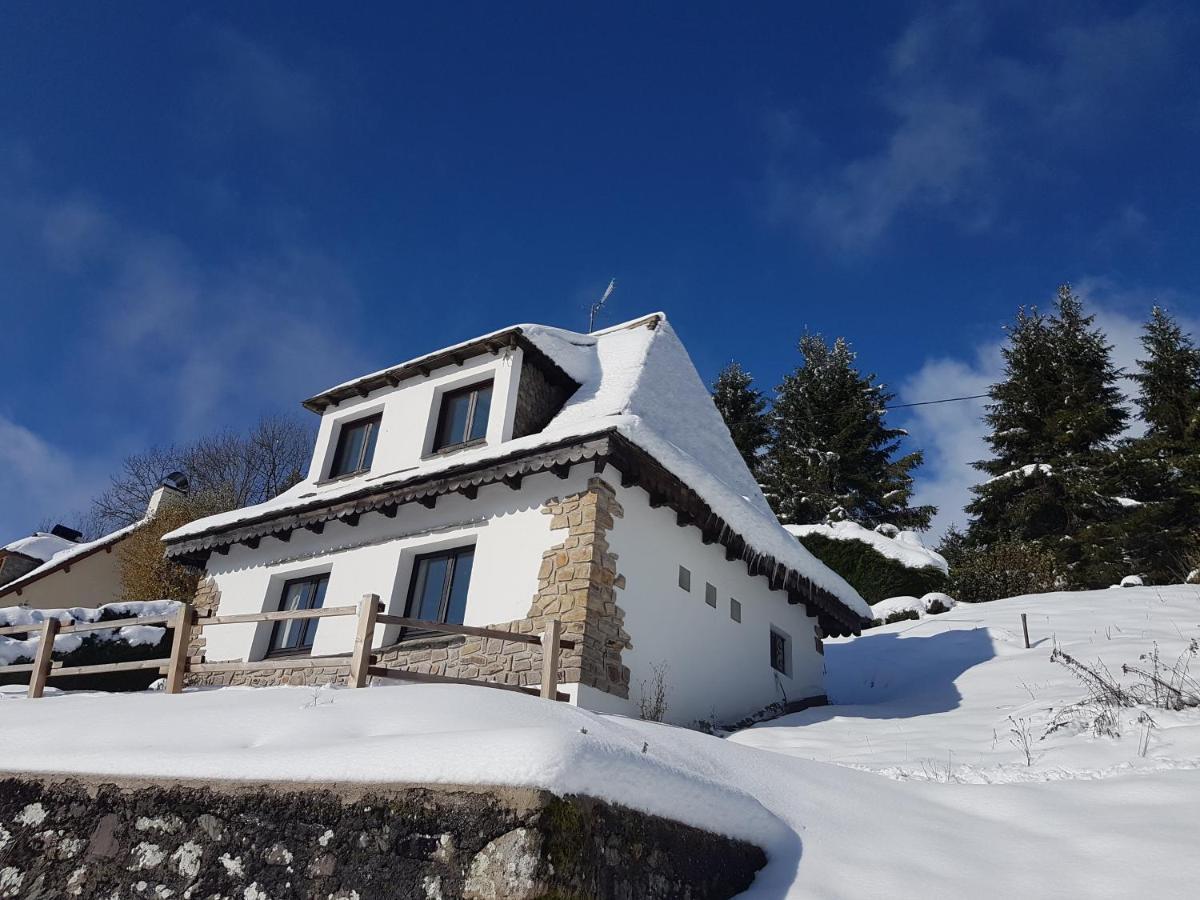 Вілла Chalet Avec Vue Panoramique Sur Le Plomb Du Cantal Saint-Jacques-des-Blats Екстер'єр фото