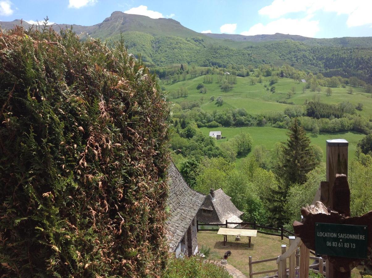 Вілла Chalet Avec Vue Panoramique Sur Le Plomb Du Cantal Saint-Jacques-des-Blats Екстер'єр фото