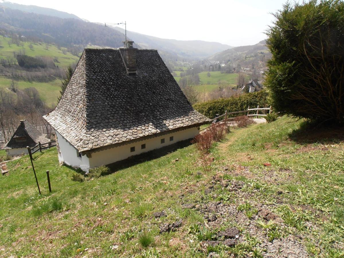 Вілла Chalet Avec Vue Panoramique Sur Le Plomb Du Cantal Saint-Jacques-des-Blats Екстер'єр фото