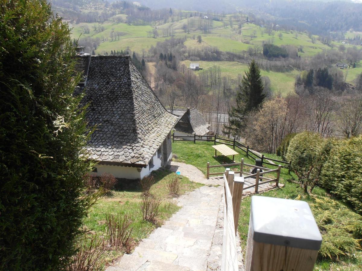 Вілла Chalet Avec Vue Panoramique Sur Le Plomb Du Cantal Saint-Jacques-des-Blats Екстер'єр фото