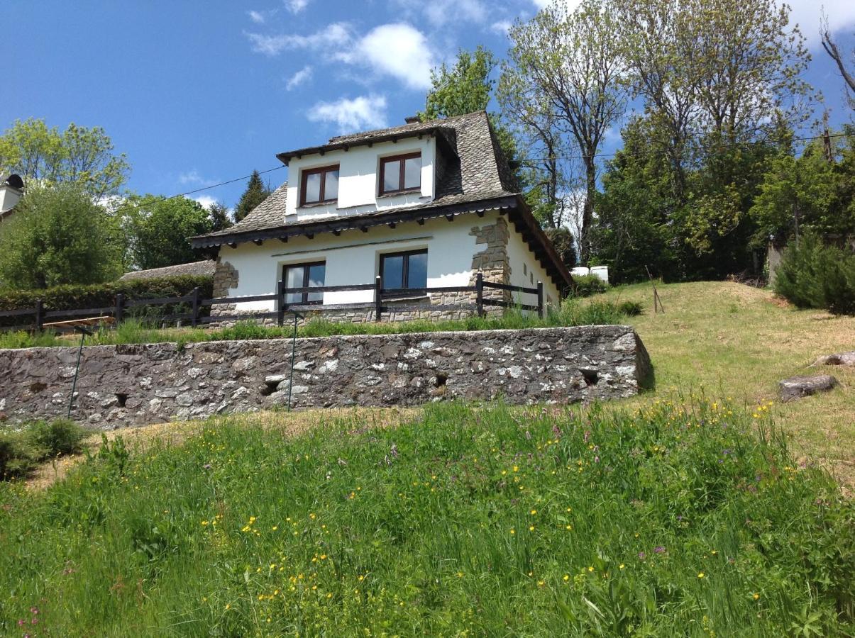 Вілла Chalet Avec Vue Panoramique Sur Le Plomb Du Cantal Saint-Jacques-des-Blats Екстер'єр фото