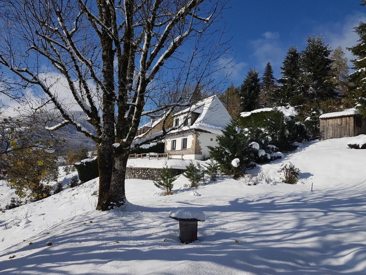 Вілла Chalet Avec Vue Panoramique Sur Le Plomb Du Cantal Saint-Jacques-des-Blats Екстер'єр фото