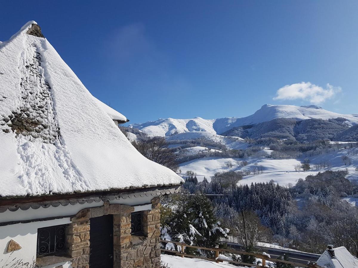 Вілла Chalet Avec Vue Panoramique Sur Le Plomb Du Cantal Saint-Jacques-des-Blats Екстер'єр фото