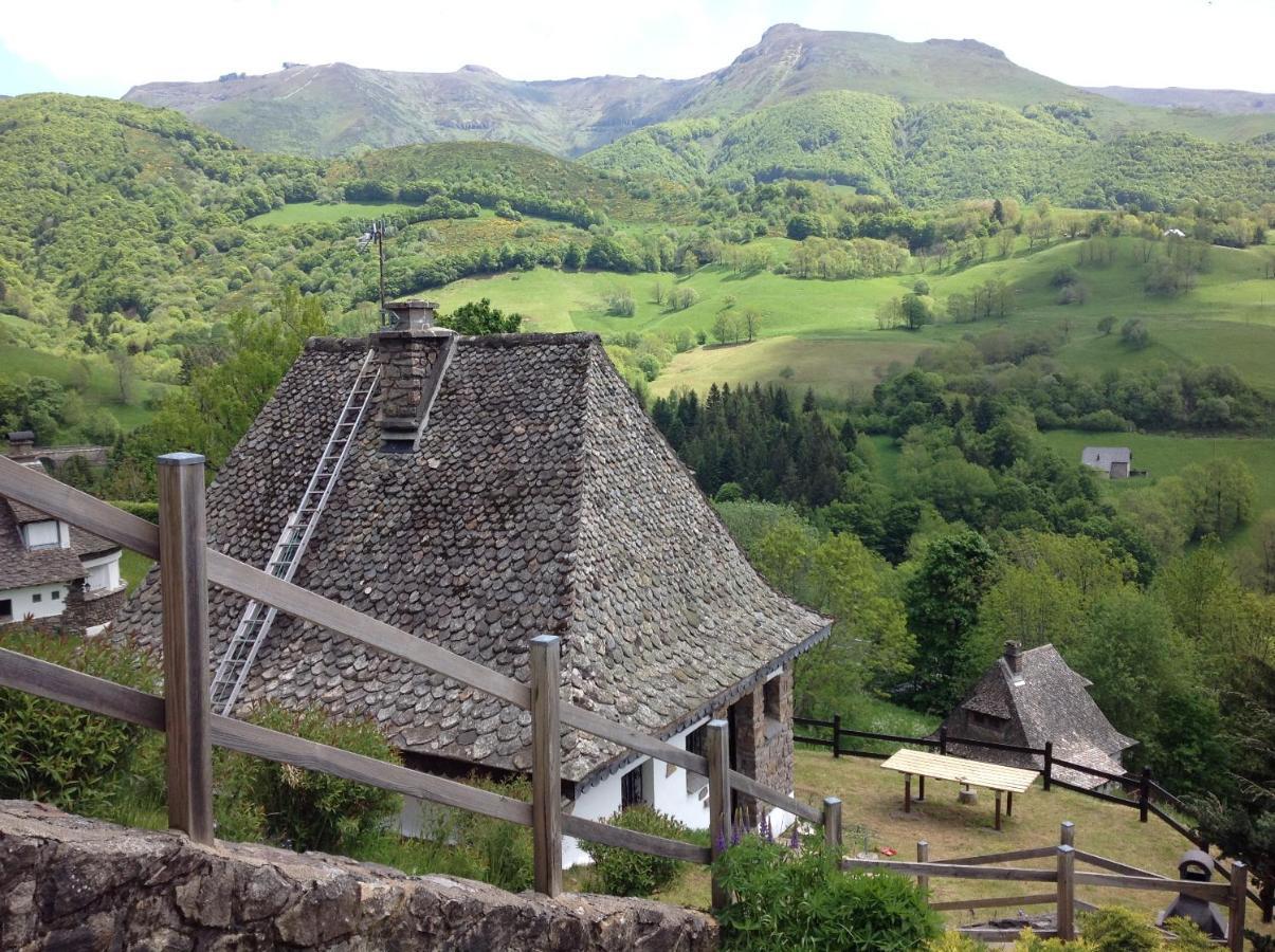 Вілла Chalet Avec Vue Panoramique Sur Le Plomb Du Cantal Saint-Jacques-des-Blats Екстер'єр фото