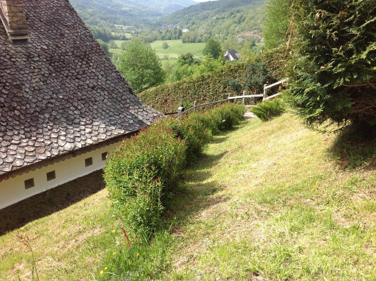 Вілла Chalet Avec Vue Panoramique Sur Le Plomb Du Cantal Saint-Jacques-des-Blats Екстер'єр фото