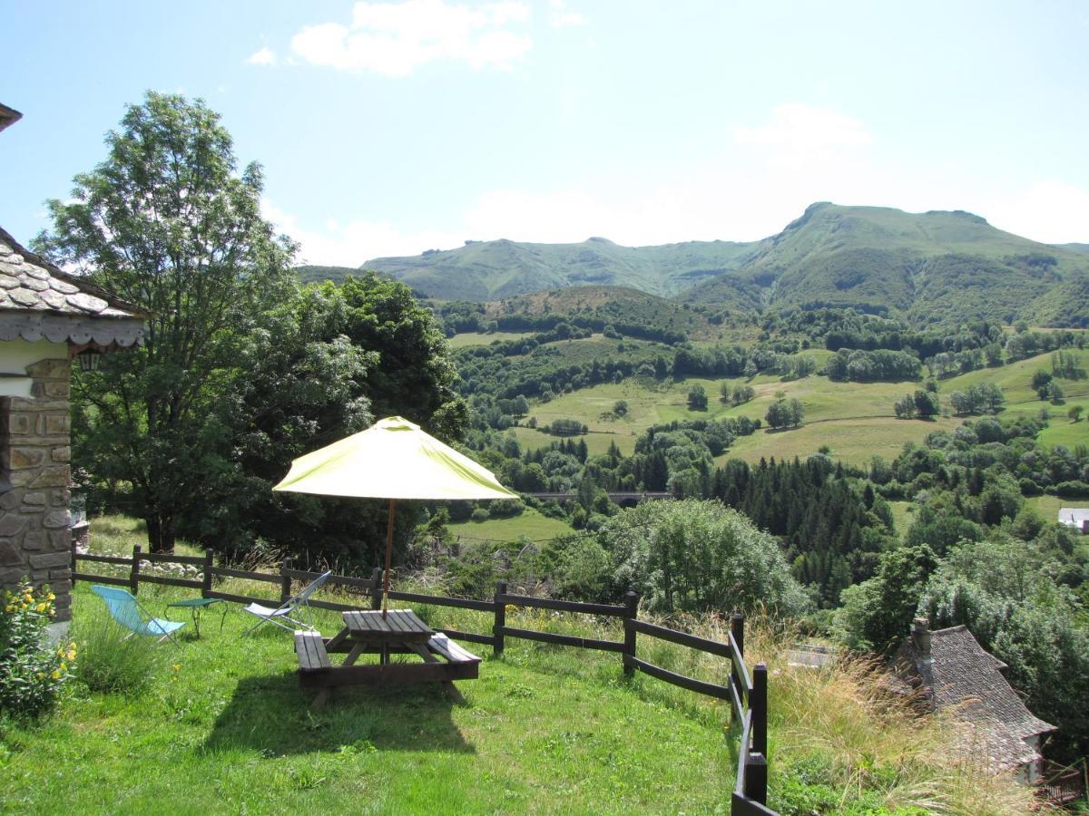 Вілла Chalet Avec Vue Panoramique Sur Le Plomb Du Cantal Saint-Jacques-des-Blats Екстер'єр фото